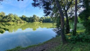 ein schöner See